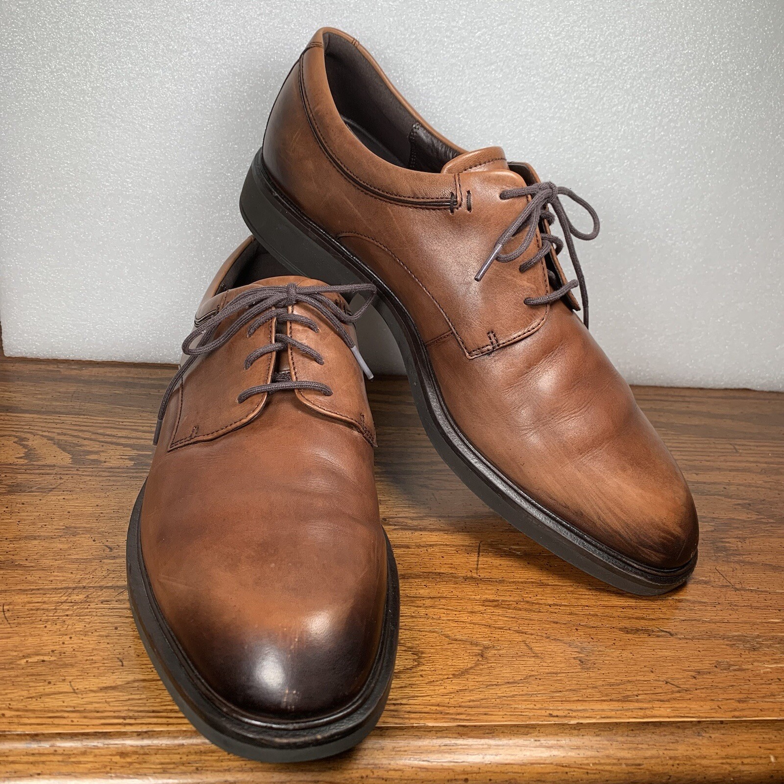 SAOLA Oxford Ecco uomo Vitrus US 12 EU 46 marrone tinta unita punta brunita pelle