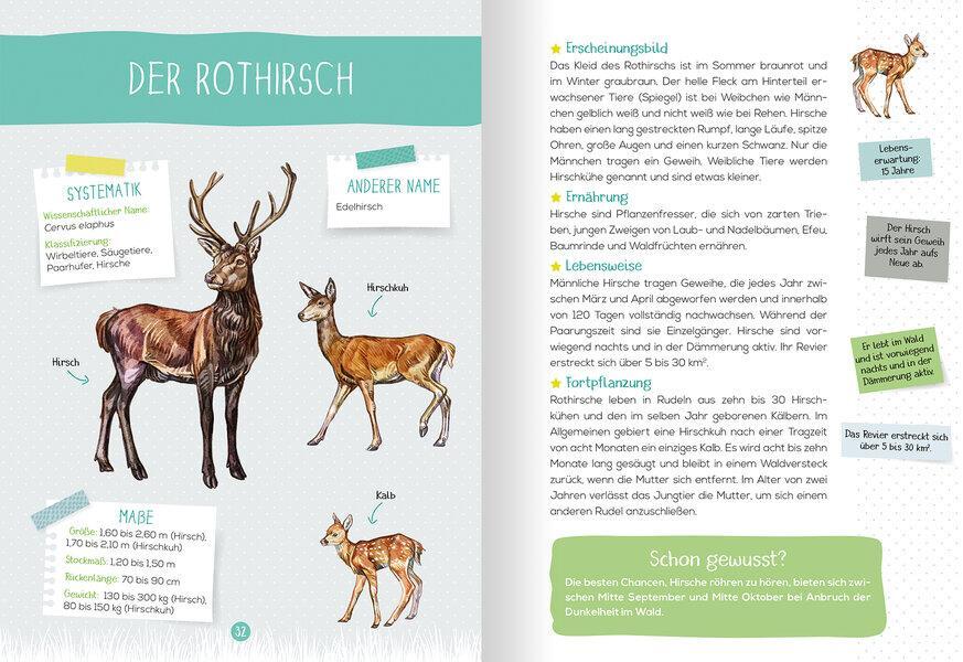 Thumbnail - Mein Naturführer - Waldtiere, Xavier Japiot