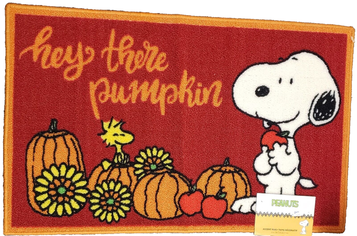 Kitchen Printed Accent Rug (17