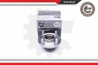 1X Esen SKV Radlager Radlagersatz Beidseitig Hinten FüR Ford Focus Turnier DNW