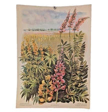 Ukrainian Folk Poster 1986 - Soviet USSR - Yellow Lupine- Interior Design Art