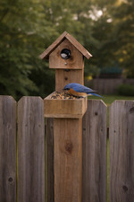 Handmade Cedar Bird Birdhouse  Bird Feeder   Outdoor Mounted for Wildlife