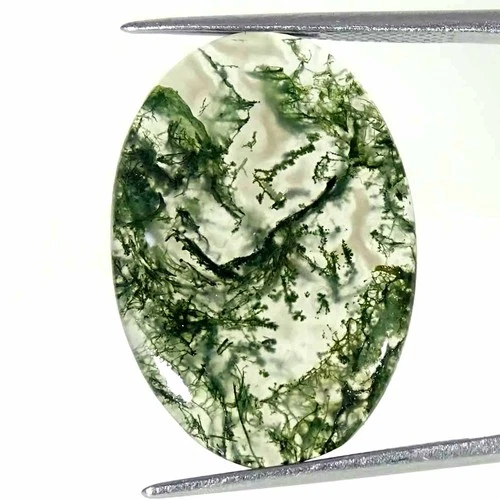 10.80Cts Natural Moss Agate Oval Cabochon loose Gemstone