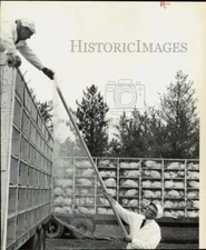 1972 Press Photo Swift & Company Transporting Turkeys to Processing Plants