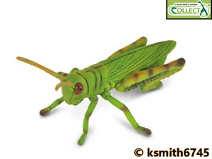 plastic grasshopper toys