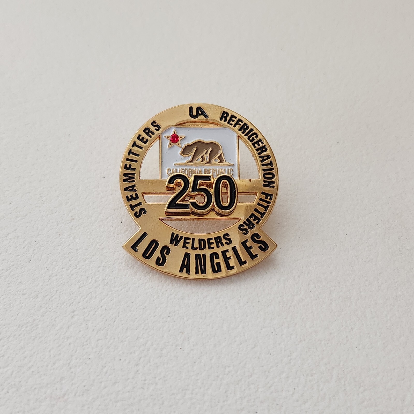 UA Steamfitters Welders Refrigeration Fitters Local Union 250 Pin Los