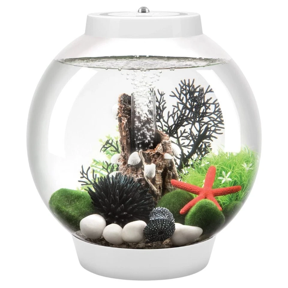 Oase biOrb Clásico MCR Acuario Multicolor LED 15L Acrílico Pecera Configuración Foto 3 de 4