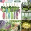 12x Artificial Flower Vine Ratta Hanging Garland Wisteria