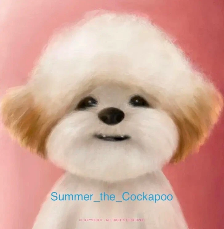 June 20, 1961 (G 06201961 D) BIRTHDAY Note $1 One Dollar Bill - Image 4 of 4