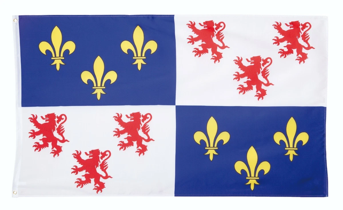 Medieval French Flag