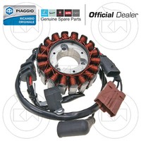 Kompletter Magnetrotor FüR Piaggio Beverly Cruiser 250 2007 2009