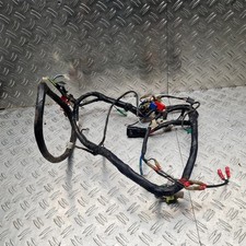 Kabelbaum Elektronik PEGASUS SKY 25/50 BJ.00-08 Original #30176