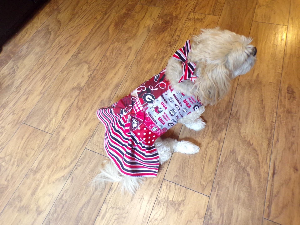 pet dog cheer dress,Georgia Bulldogs, LARGE for small breeds*(read size details) - Image 3 of 4