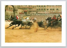 Il Palio Horse Race Siena Tuscany Italy Postcard