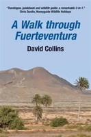 David Collins | A Walk Through Fuerteventura | Taschenbuch | Englisch (2014)