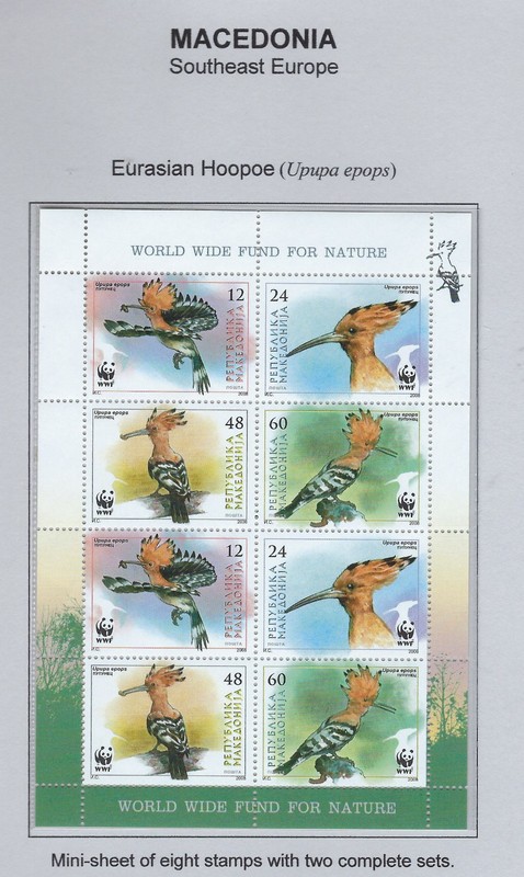 Macedonia / 2008 / #432 / WWF / Eurasian Hoopoe / MS of 8 / MNH / 261-3