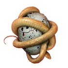 Shinedown Metal Music CDs