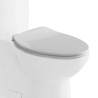 Eago R-364Seat Replacement Soft Closing Toilet Seat for Tb364