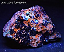 545g, Natural Fluorescent Hauyne Crystals With Phlogopite and Pyrite On Matrix