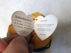 Foto 10 di 14