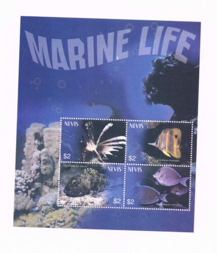 2/3 off $6.25 Scott Value - 2003 NEVIS Marine Life s/s Caribbean Sea MNH NH UMM - Picture 1 of 2