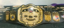 NWA OLD SCHOOL TRIPLE CROWN WRESTLING CHAMPIONSHIP BELT ADULT SIZE 4mm ZINC