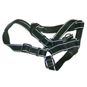 halti walking harness