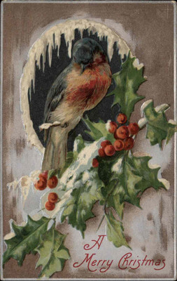 Christmas Embossed Songbird Holly Berries Winsch c1910 Vintage Postcard