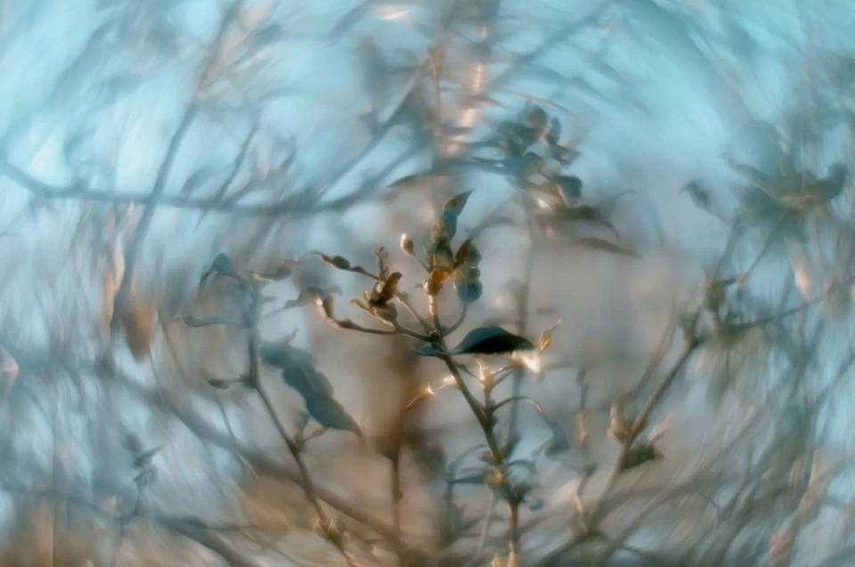 Petzval Modification Soviet lens Helios 44M 58mm Dreamy Swirly Bokeh M42 vintage - Image 3 of 4