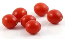 15 BUNNY KISSES  MICRO DWARF TOMATO SEEDS ~ AEROGARDEN ~ 2026 ~ NON-GMO