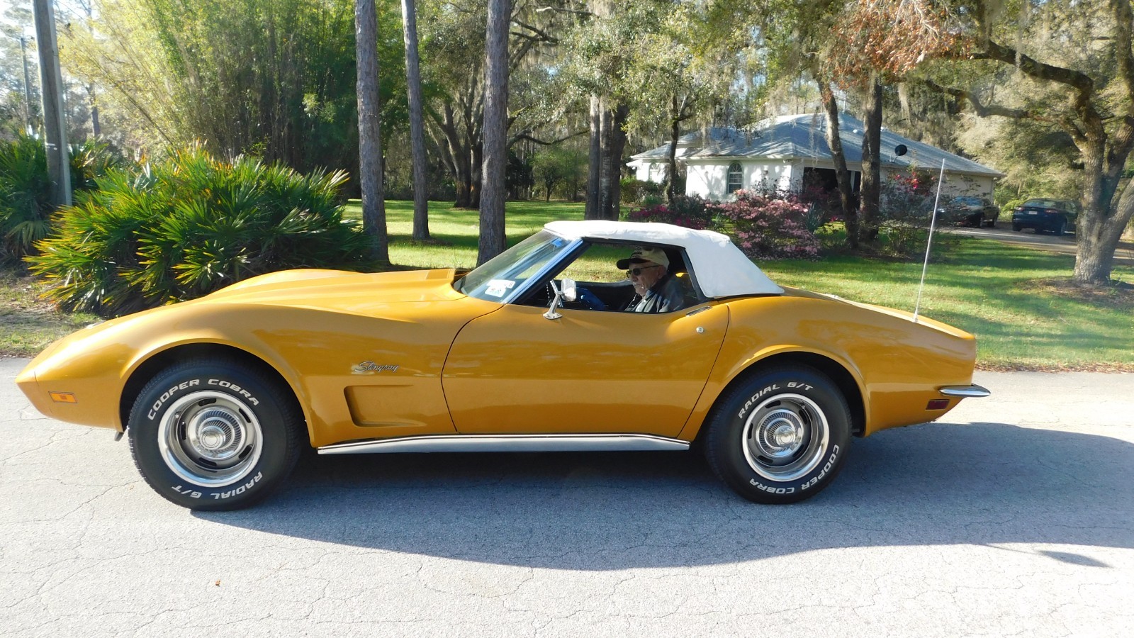 1973 Chevrolet Corvette for sale in Crystal River Florida