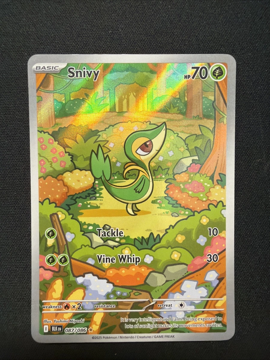 snivy pokemon card value Most Expensive Pokmon Cards this piece serves as a premier focal point for any high Pokemon Card Game/[CS1] Journey Partners