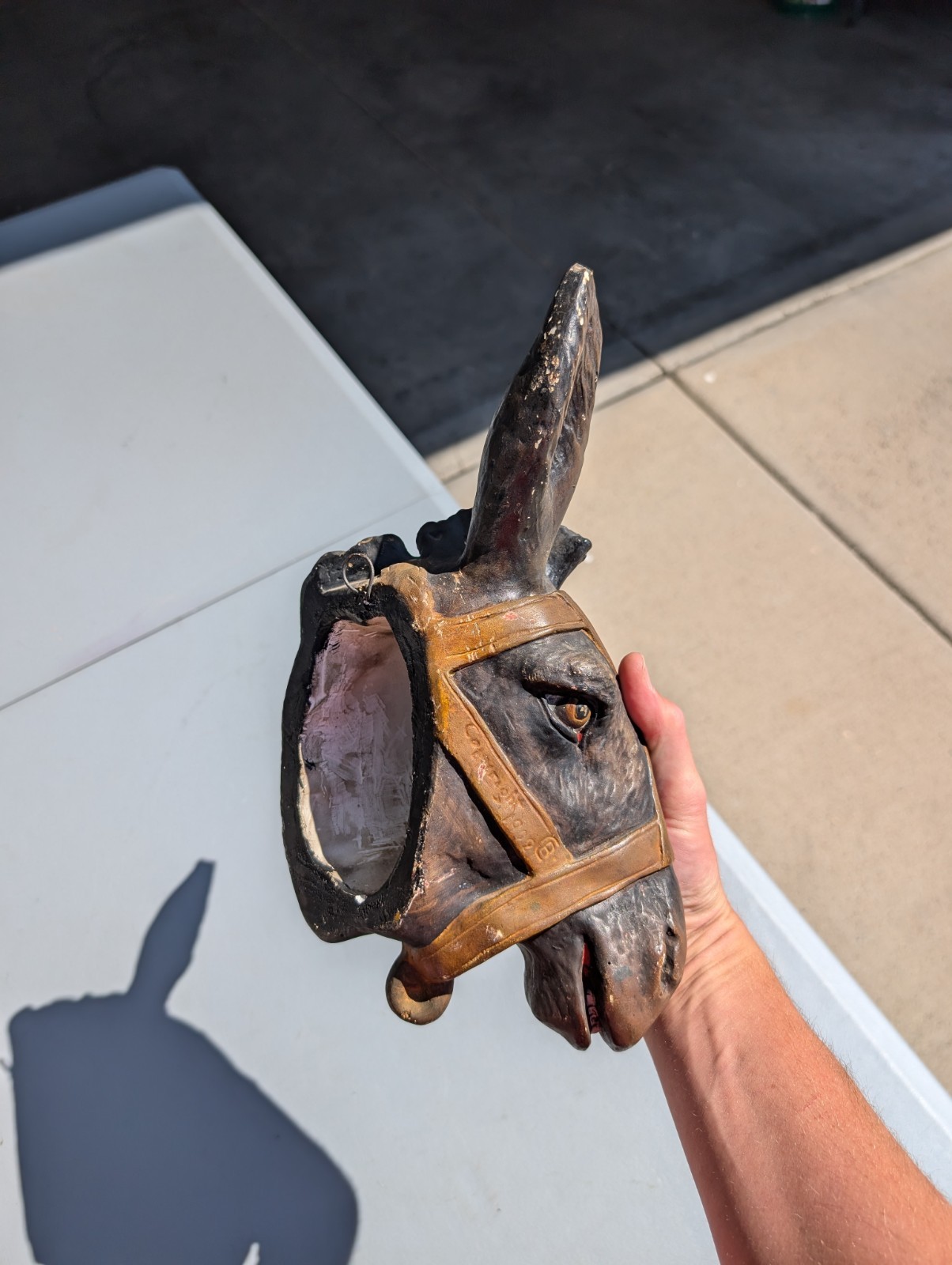 RARE 1909 Borax Mule Head Chalk Advertisement Wall Decor Advertising Sign