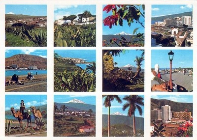 AK Palmen Collage Tropen Fotopapier California Palm AA15531
