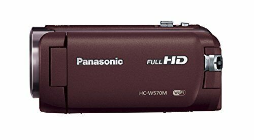 Panasonic HD Camcorder HC-W570M-T Wipe shooting 90x zoom brown | eBay