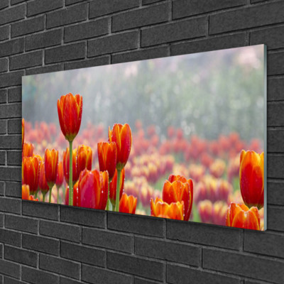 Wandbilder aus Plexiglas  100x50 Acrylglasbild Tulpen Pflanzen