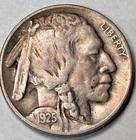 1925-P BUFFALO NICKEL FULL HORN ,Original!!!