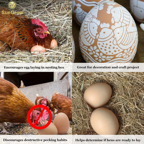 Fake Wooden Eggs to Train Birds from Laying in the Nesting Boxes & to Stop from - Picture 3 of 12