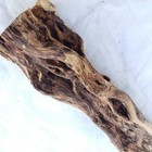 Diamond Willow Carving Wood Blank for Lamp Base or Other Project Very Nice