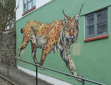 Photo Street Art 6x4 Lynx on Spring Hill Bristol  c2019