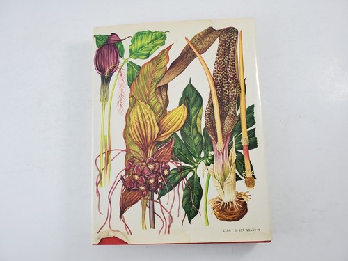Wild Flowers of the World Painting Everard Text Morley Illustrated 1988 - Picture 5 of 14
