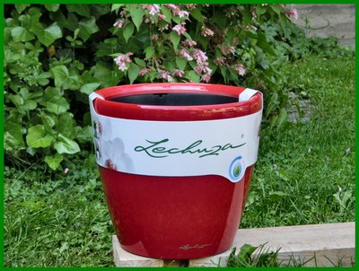 Pflanzgefäß Lechuza CLASSICO PREMIUM 43 LS scarlet rot Komplettset mit Rollen