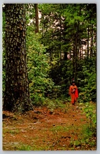 Native American Postcard Livingston, Texas - Cho-Yeh-Chuba, Nature Trail USA UNP