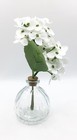 Bild 6 von 7