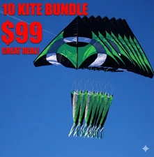 Ring Kite (Green) 6.5x8 ft giant delta easy flyer kite kites includes (10 kites)