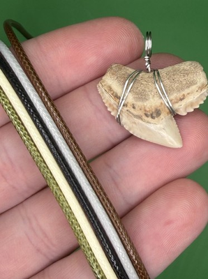 #ad Real Tiger Shark Fossil Shark Tooth Necklace Pick your Cord Color $25.00