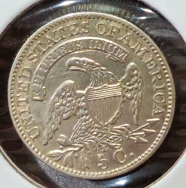 Picture 4 of 14
