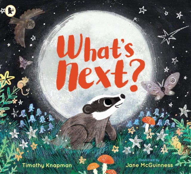 What's Next? by Timothy Knapman (Paperback Book)