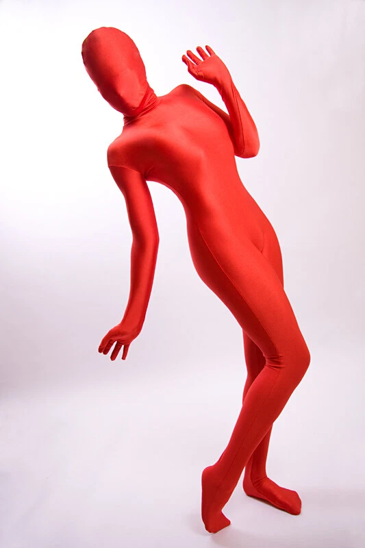 Lycra Ganzanzug Catsuit mit abnehmbarer Haube. - Bild 3 von 4