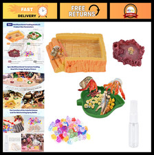 5 Pack Reptile Water Bowls  Food Dishes for Hermit Crabs, Lizards, Frogs  More